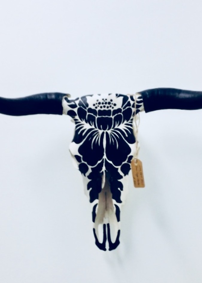 alyssa strohmann PlvY dW5Td0 unsplash