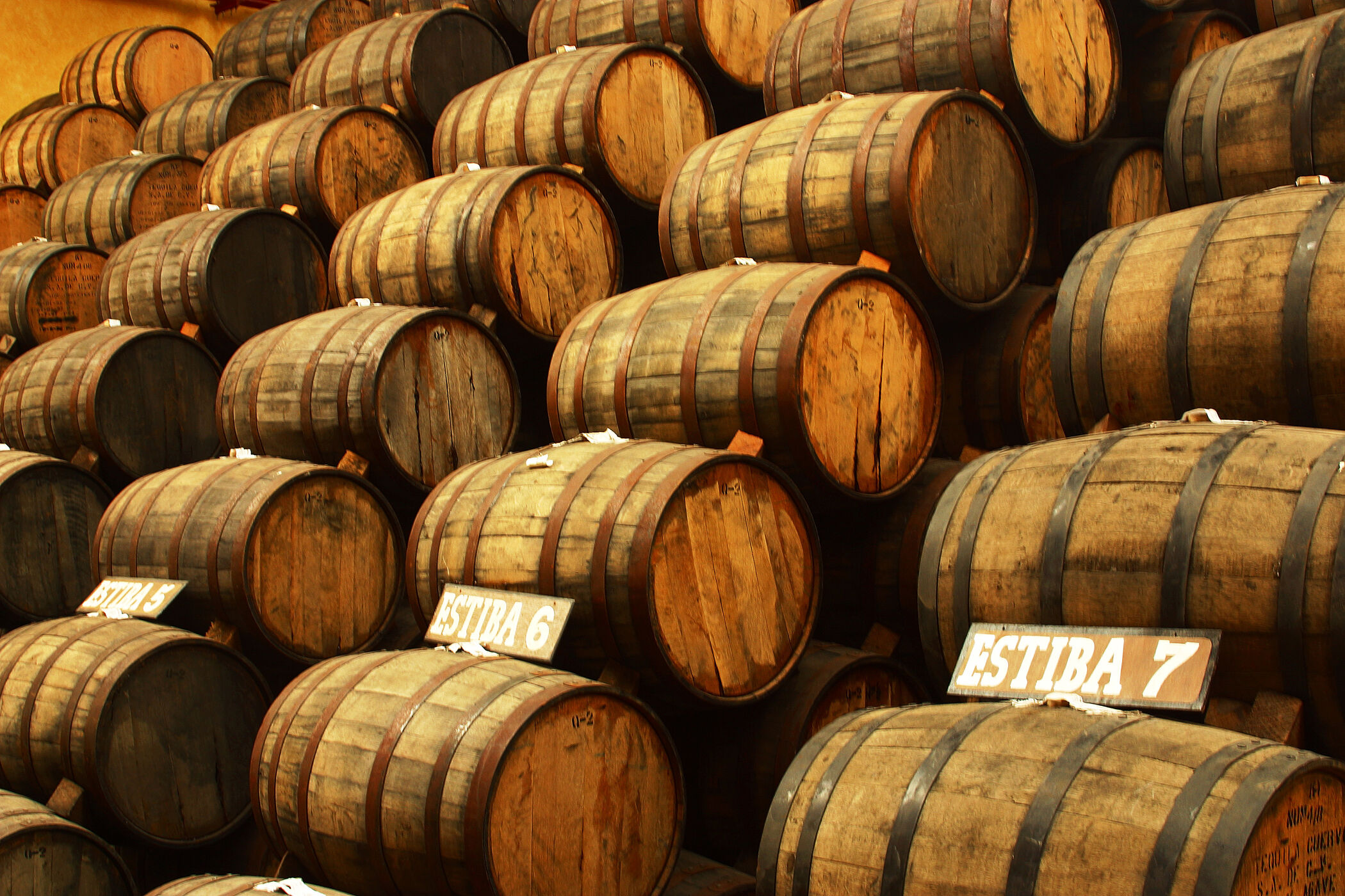 Exclusive Tequila Barrels at