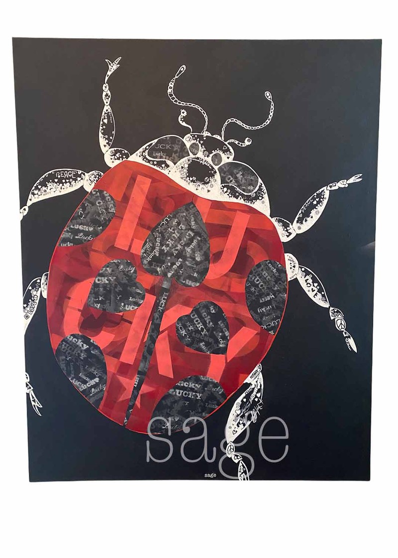 designecologist csVPdj60E1A unsplash