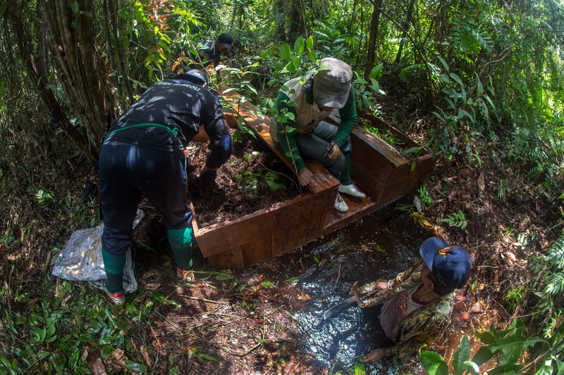 Green Boots Borneo - Stauung mit Damm