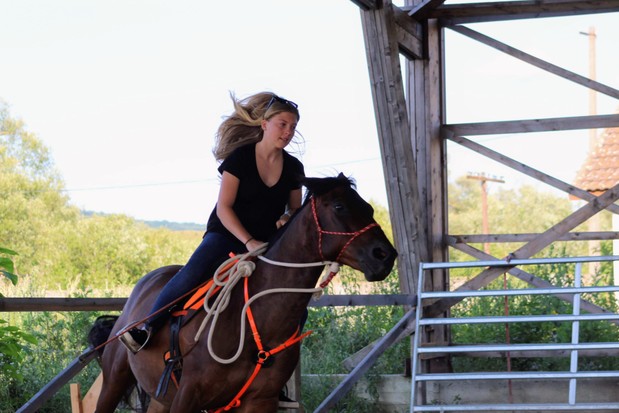 image ID bdf55558 0026 481b c9f2 0ac5fa4d5d64