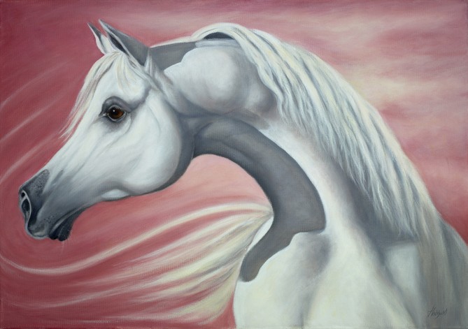 Oil portrait of Arab horse head