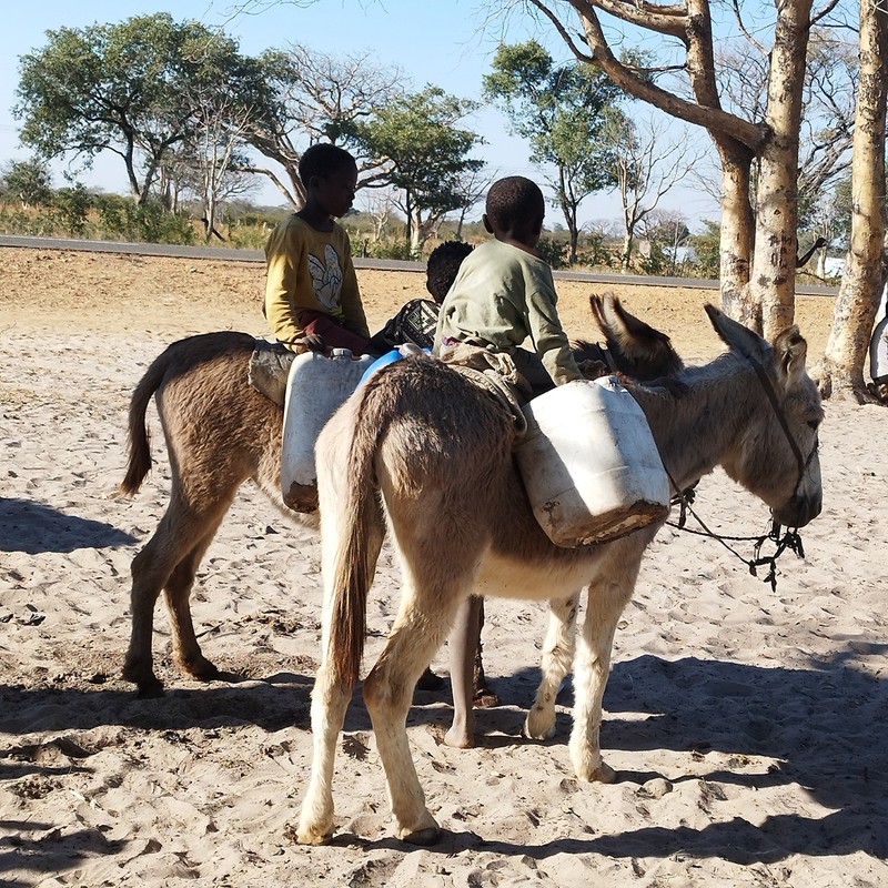 Namibia – Verein Freunde von Dipupo - Wassertransport mit Eseln