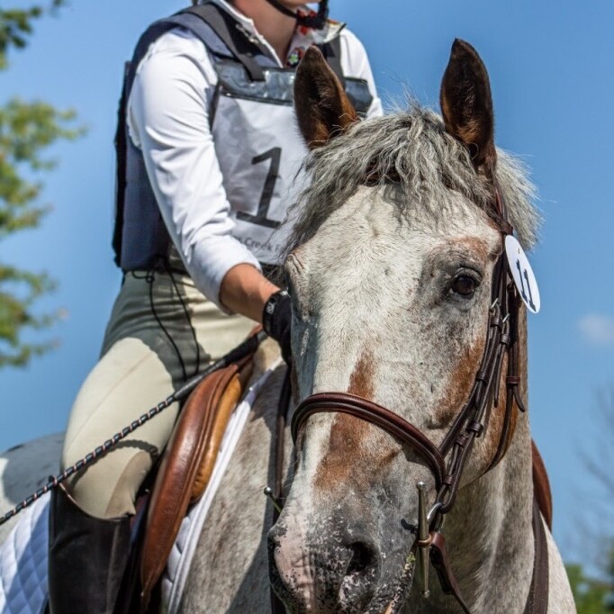 Equine Canada Rider Level Program