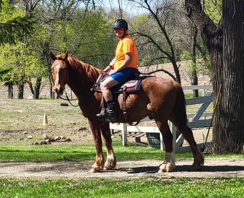Macintosh rescue horse.