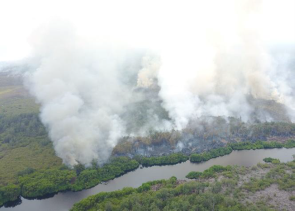 Green Boots Borneo - Waldbrände