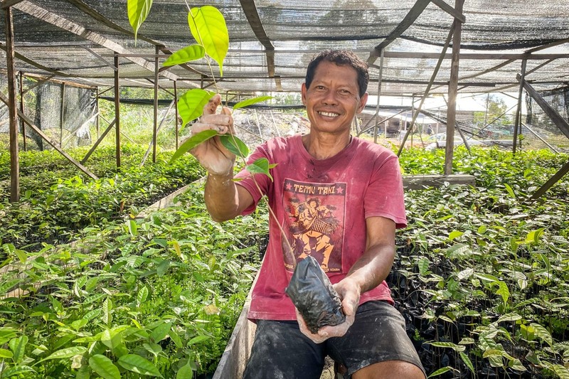 Green Boots Borneo - neue Pflanzen