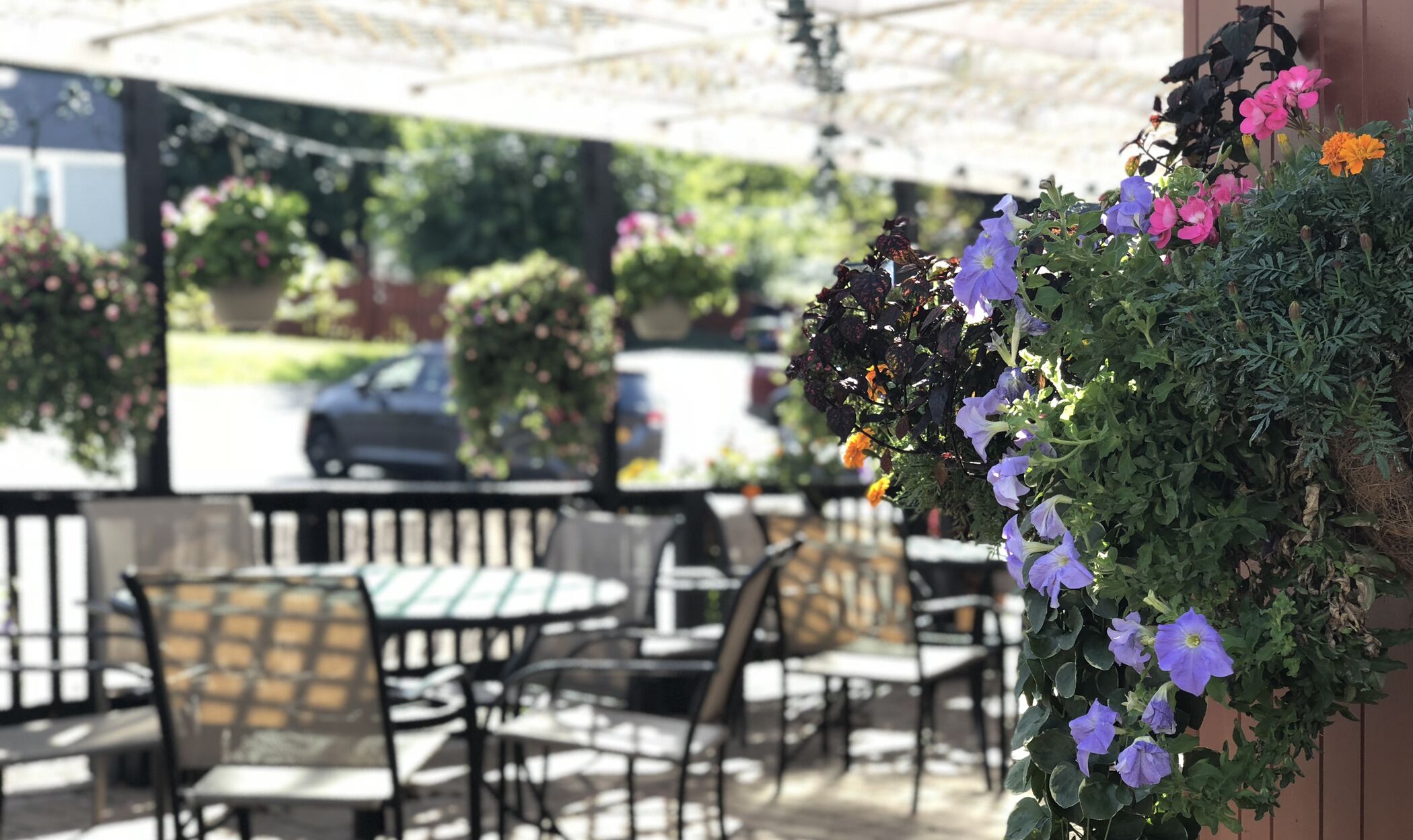 Ristorante Canale's Restaurant Oswego, New York