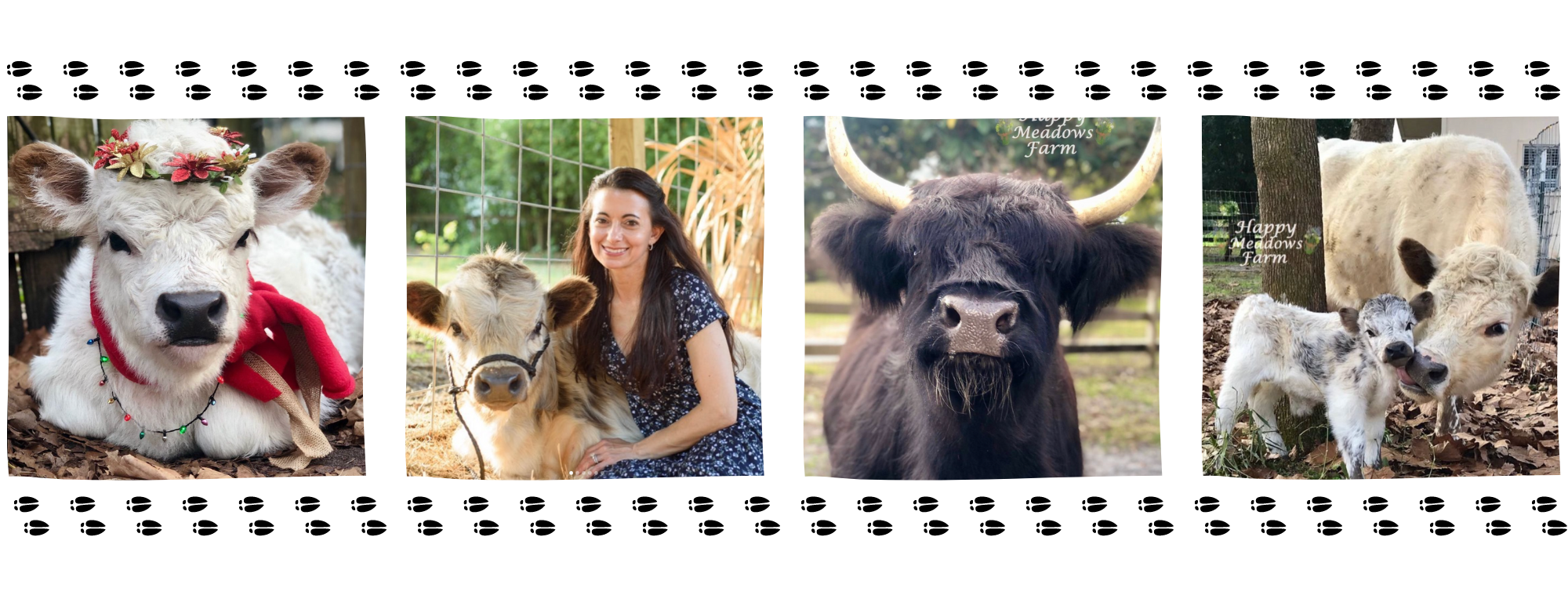 Farm Life Spotlight Happy Meadows Farm FarmLifeToYou Blog