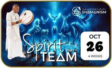 Spirit Teams Pt 1 advert badge