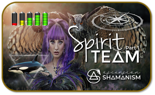 Spirit Teams Purchase Badge