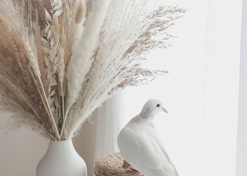 paige cody vMzYJBca33Q unsplash