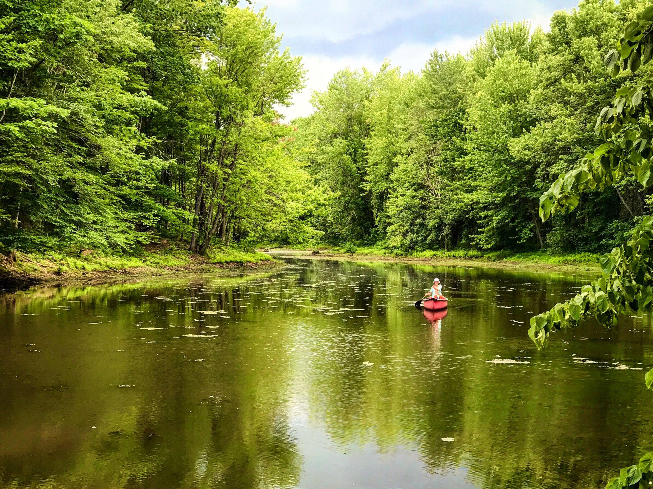 to the Town of New York