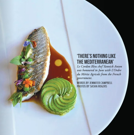 image ID dd12aee6 2a21 43ea e965 eb787e72f59f