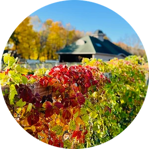 The beautiful surroundings at Copper Bowl Ranch draws you closer to nature and clears your mind.