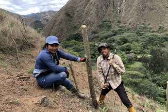 Verein Árbol co(n)razón - Ecuador