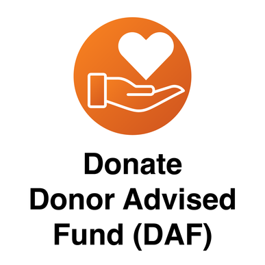 Button linked to page to donate from a Donor Advised Fund