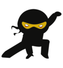 Ninja 3