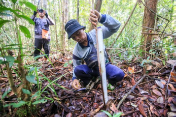 Green Boots - Biodiversity hotspot Borneo