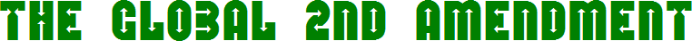 Logo (2nd ammendment