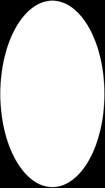 Mask1