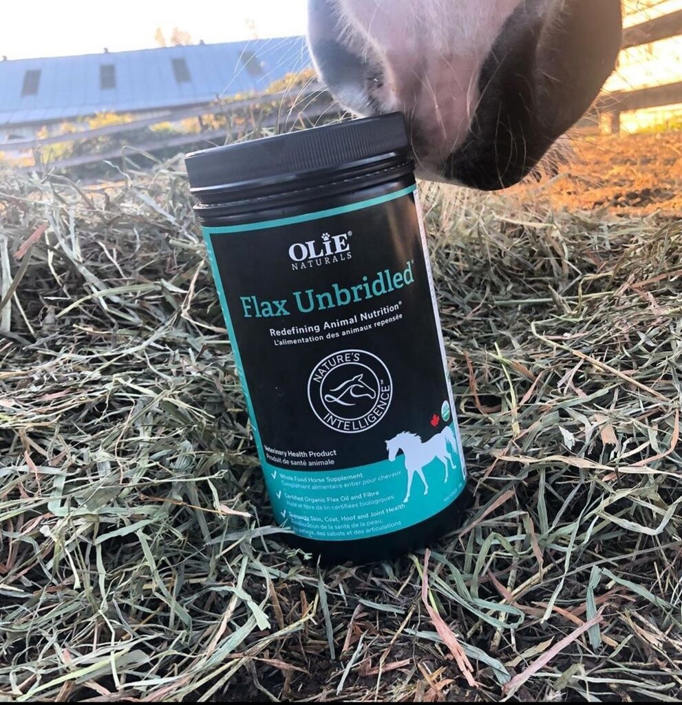 Flax Unbridled® Equine product
