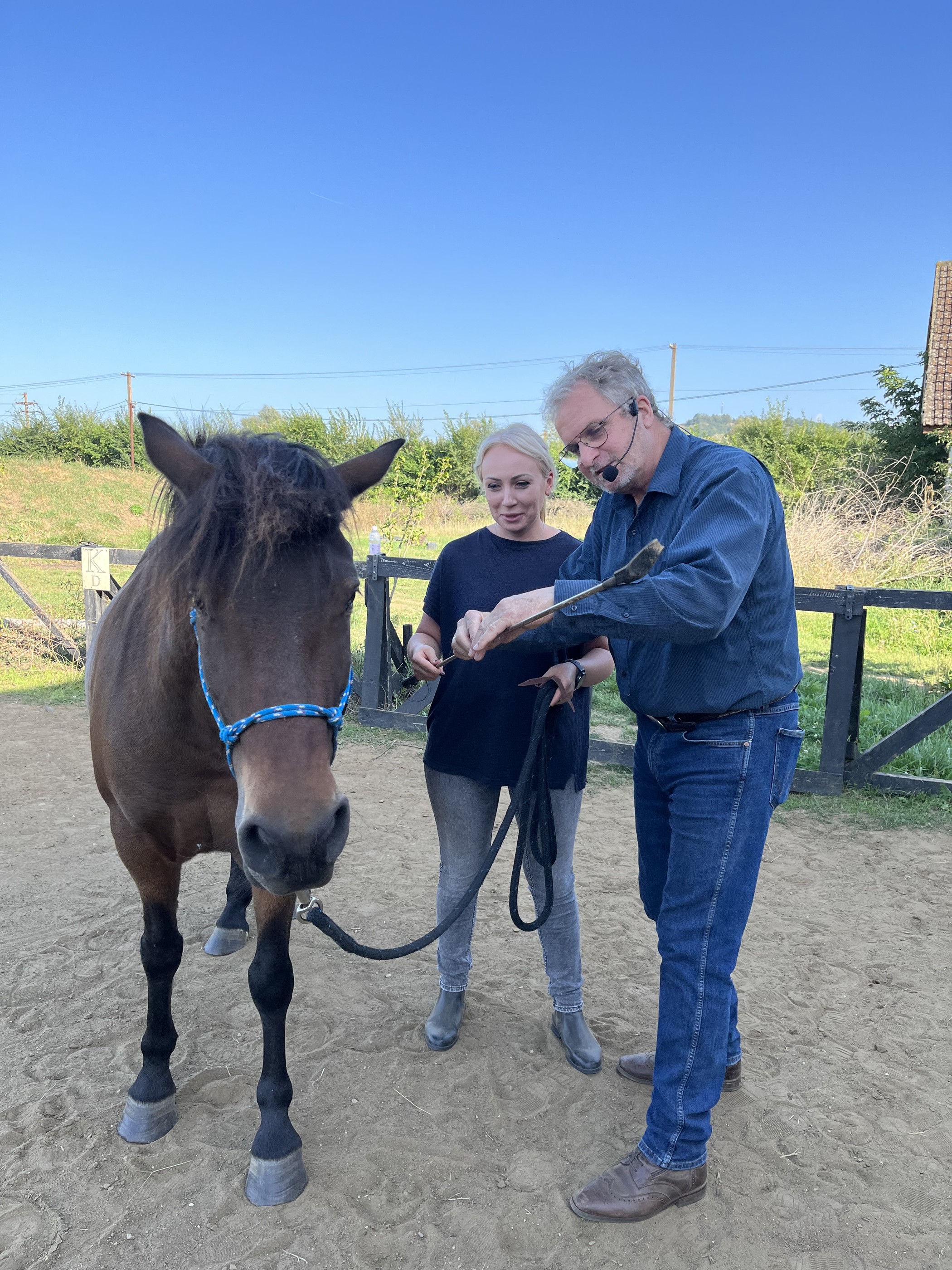 image ID 9826a7b6 c771 4156 fad6 ba52ae058625 (1)