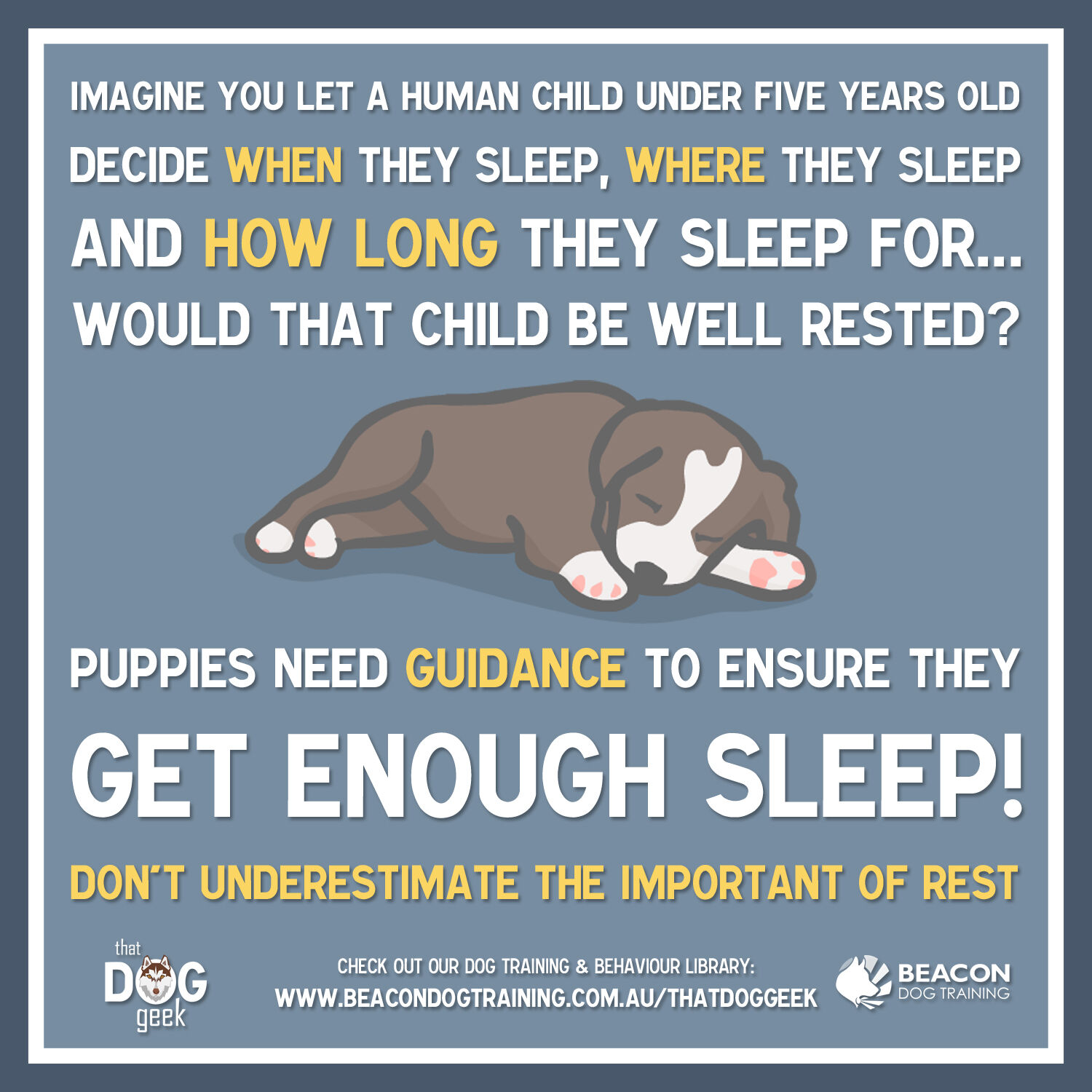 How Much Sleep Do Puppies Need? beacondogtraining Blog